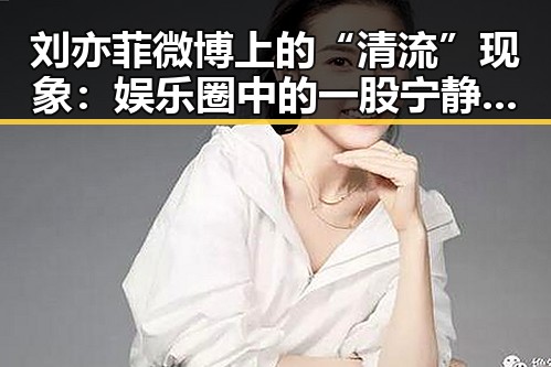 刘亦菲微博上的“清流”现象:娱乐圈中的一股宁静力量