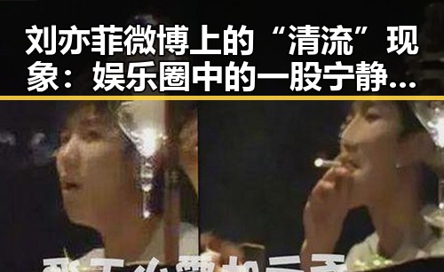 刘亦菲微博上的“清流”现象:娱乐圈中的一股宁静力量