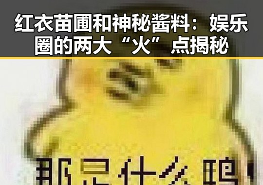 红衣苗圃和神秘酱料：娱乐圈的两大“火”点揭秘