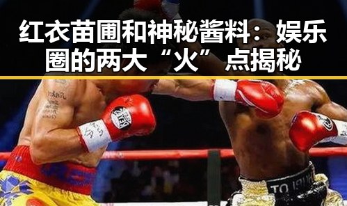 红衣苗圃和神秘酱料:娱乐圈的两大“火”点揭秘
